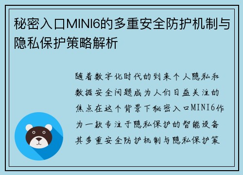 秘密入口MINI6的多重安全防护机制与隐私保护策略解析