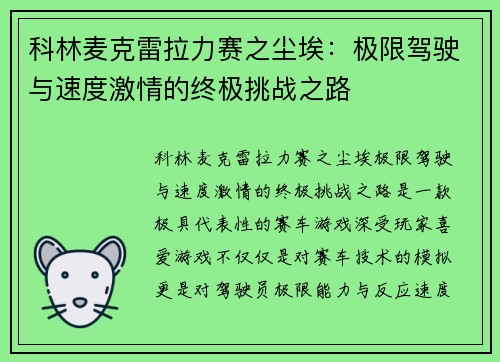 科林麦克雷拉力赛之尘埃：极限驾驶与速度激情的终极挑战之路